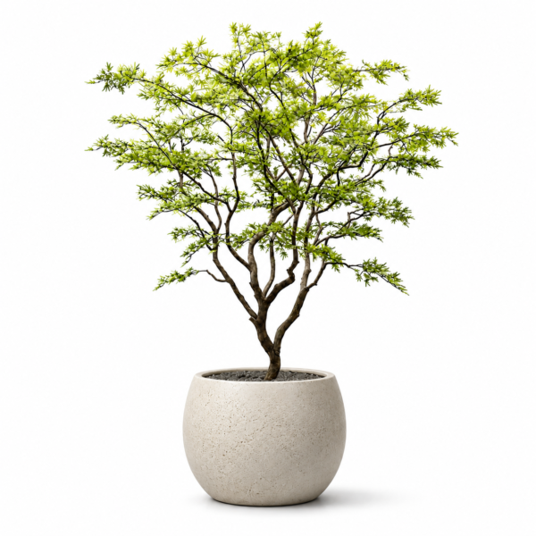 Artificial ornamental tree with realistic green foliage, natural-looking branches, and a textured trunk for modern indoor home décor.