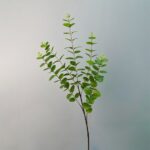 Artificial Eucalyptus Stem with realistic faux eucalyptus leaves for modern home décor
