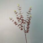 Artificial Eucalyptus Stem with realistic faux eucalyptus leaves for modern home décor