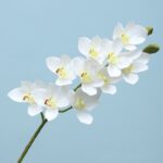 Artificial Orchid Stem | Premium Faux Orchid Spray - Image 5