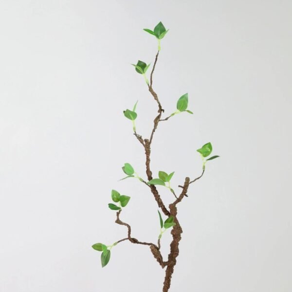 Sprig faux green bud branch stem against plain background