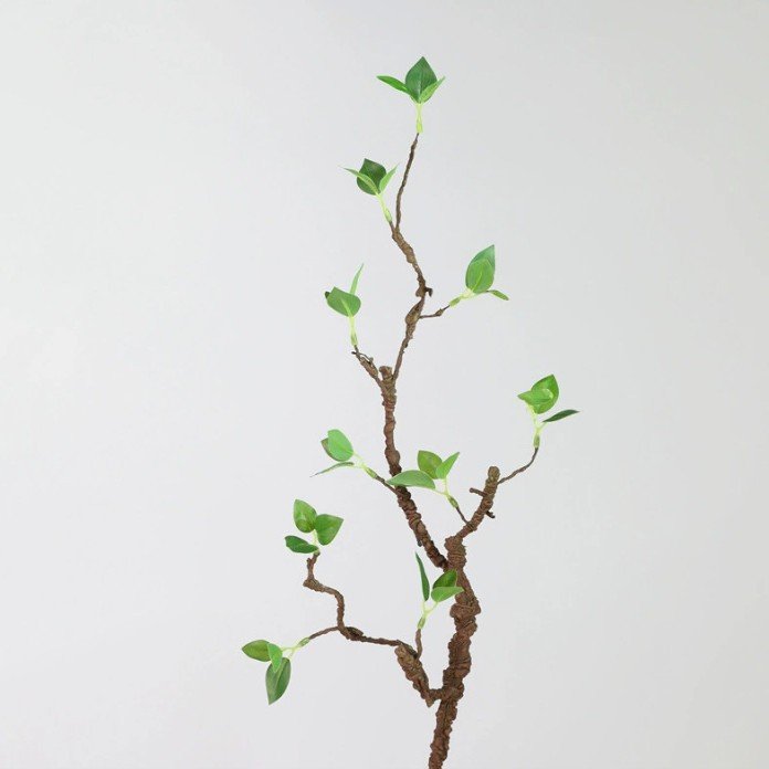 Green bud Sprig faux green bud branch stem against plain background