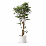 Premium Artificial Leaf Banyan Tree with realistic green foliage, natural-looking branches, and a textured trunk for modern indoor home décor.