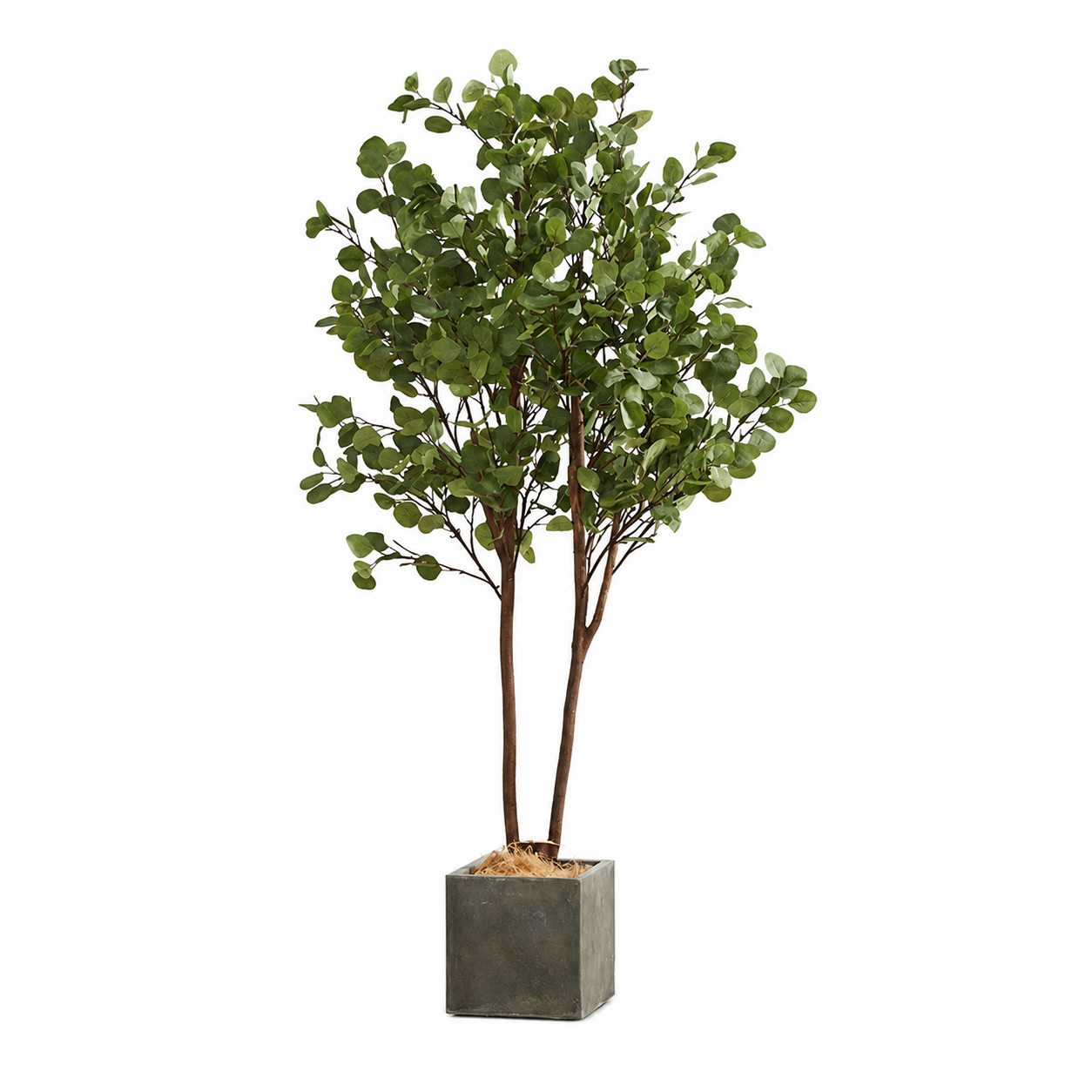 Tree 4 6ft artificial eucalyptus tree with double trunk in square concrete planter